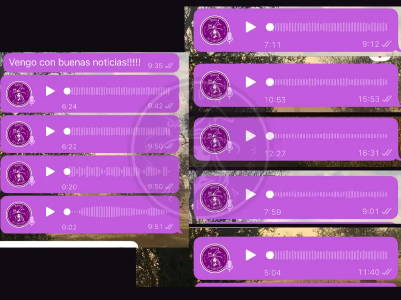 capturas de audios de varias consultas de tarot por WhatsApp